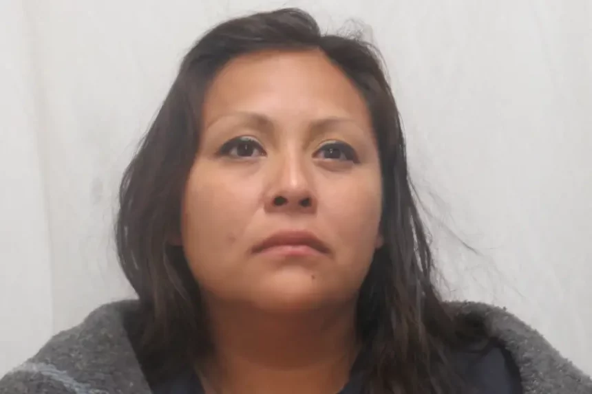 Crystal Santana Martinez booking photo | Bannock County Jail
