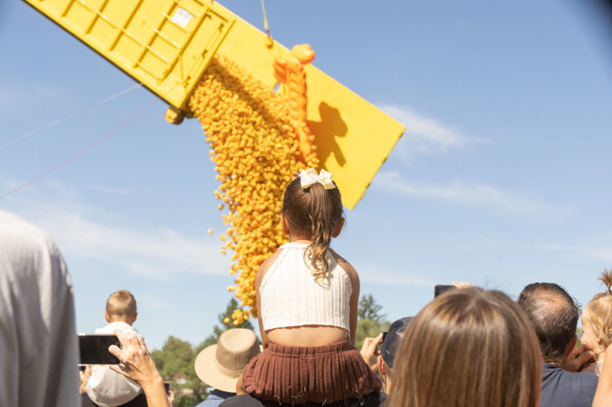 The 34th annual Great Snake River Greenbelt Duck Race saw 30,000 rubber ducks, all to raise money for local projects. | Daniel V. Ramirez, EastIdahoNews.com