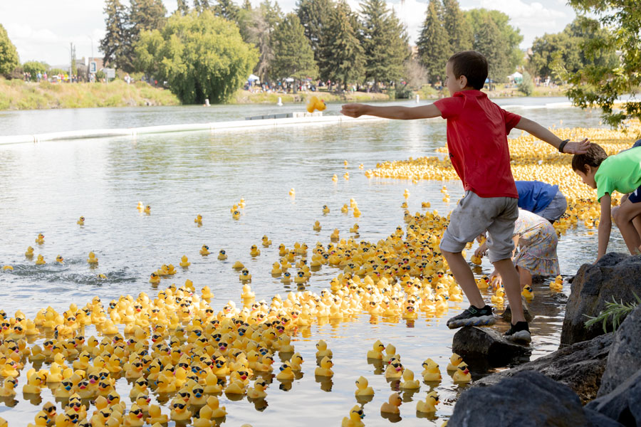 Local kids helping stranded ducks caught alongside the bank of the Snake River. | Daniel V. Ramirez, EastIdahoNews.com