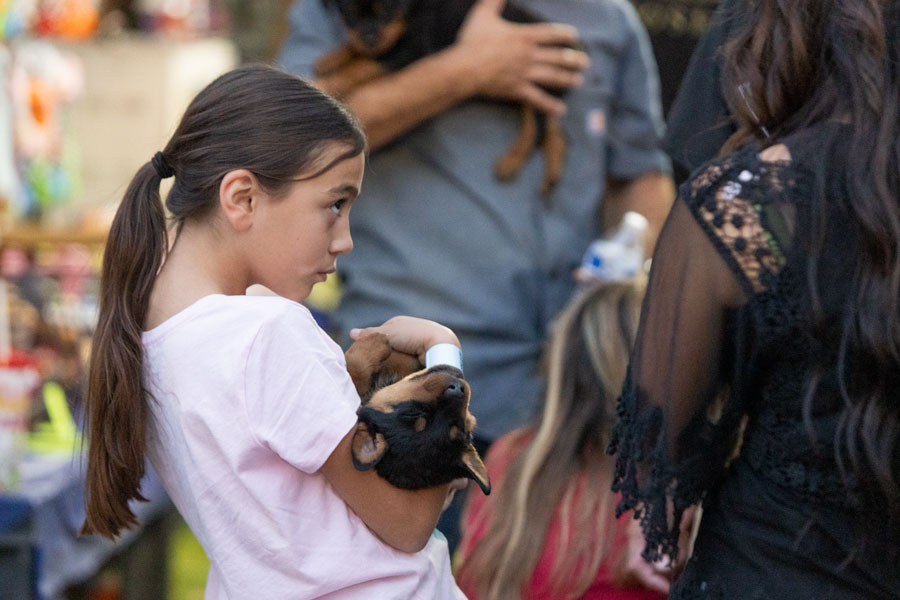 A girl holding a sleepy dog near the petting zoo at the Eastern Idaho State Fair. | Daniel V. Ramirez, EastIdahoNews.com