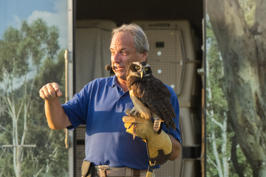 Joe Krathwohl, also known as the Birdman, showcasing one of the many brids in his wilflife and habitat conservation. | Daniel V. Ramirez, EastIdahoNews.com