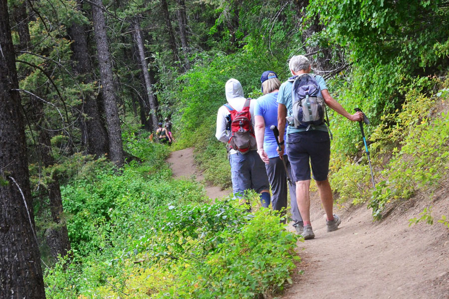 The trails around Phelps Lake are well cared for and in good shape for hiking. | Bill Schiess