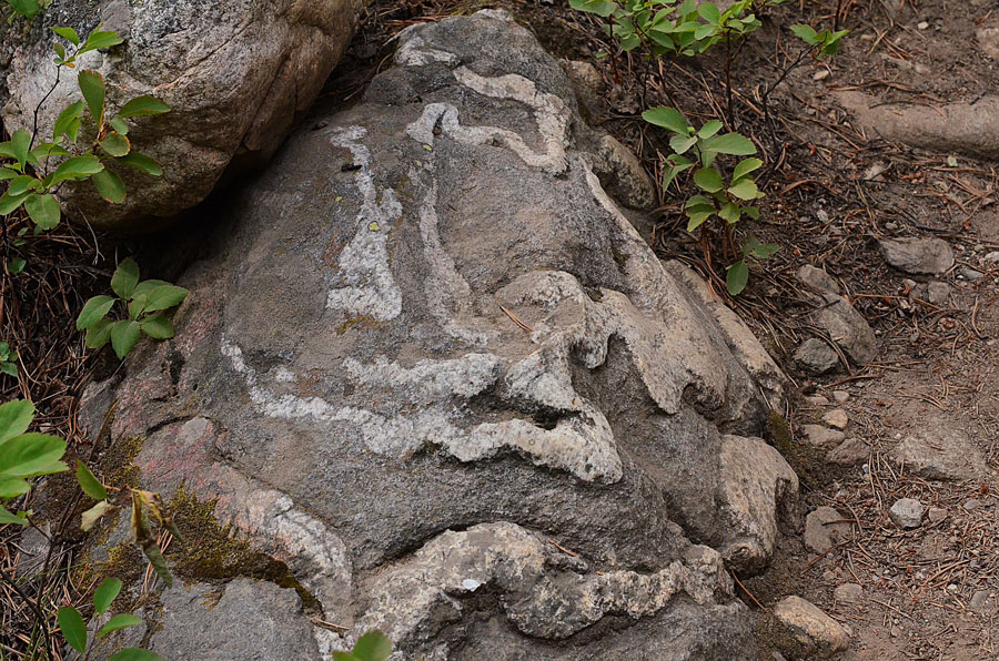 The boulders on the Phelps Lake hike are mostly granite with different shapes. | Bill Schiess