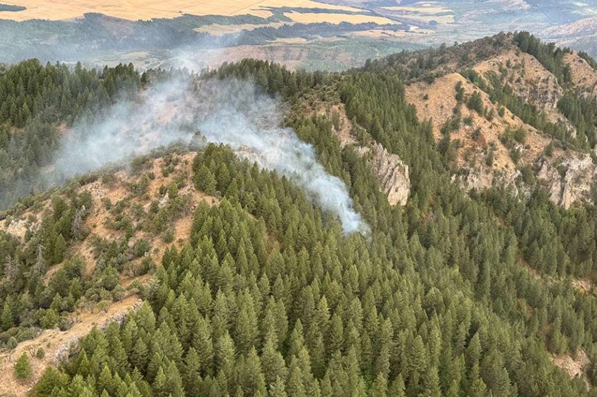 An aerial view of the Rocky Top fire. | Caribou-Targhee National Forest