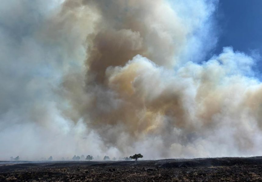 The Sand Creek Fire ignited Friday morning west of Ashton. | Courtesy Bureau of Land Management