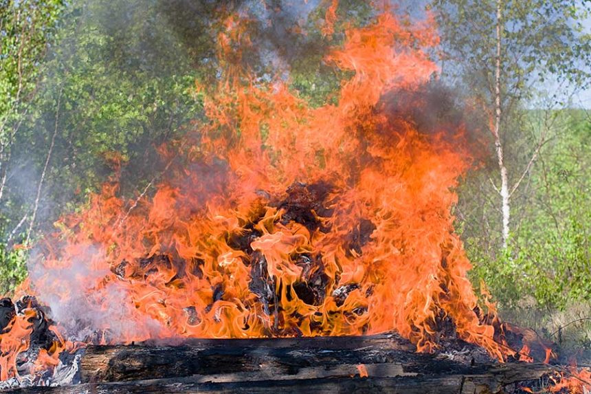 Envato Elements Stock image