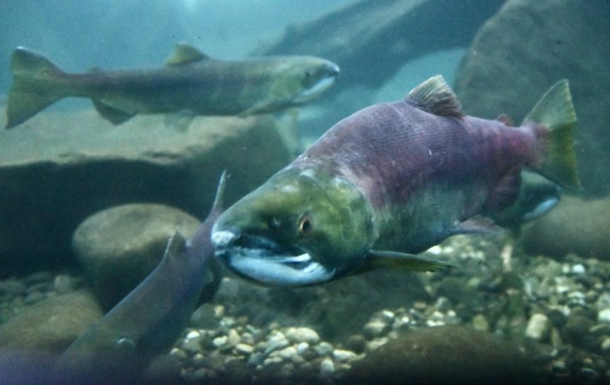 e3cf88f7 a353 465e 8a50 2105e03c6eb4 1 201 a