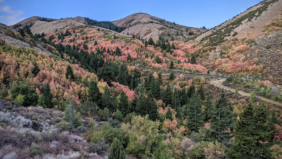 Pocatello Fall Ultra bike trail