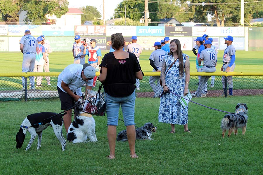 Attendees and their pups socializing while the players warm up. | Kaitlyn Hart, EastIdahoNews.com