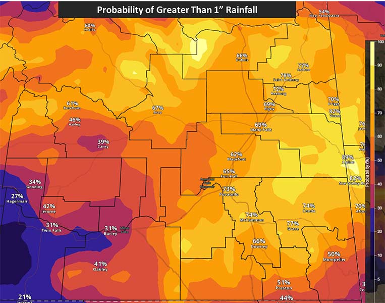 rainfall 2