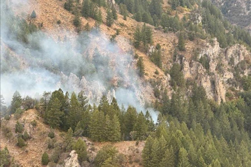 The lightning-caused Rocky Top Fire was reported the evening of August 18, about 11 miles northwest of Swan Valley in the Black Canyon area. | Caribou-Targhee National Forest