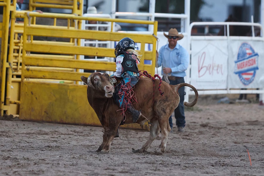 Bannock County Fair Rodeo
