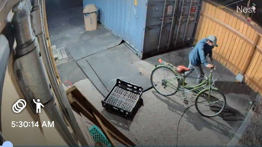 The burglary suspect | Courtesy of Dave's Fire & Smoke BBQ