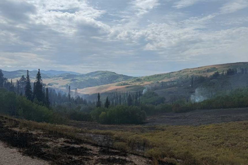 Willow Creek Fire on Sunday August 24, 2025. | SVI photo by Duke Dance