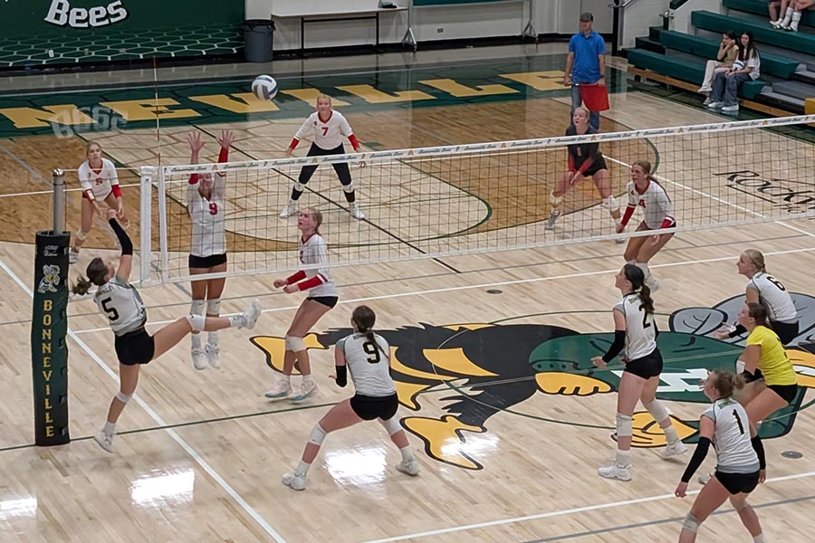 Bonneville volleyball, Shayla Belnap (5)