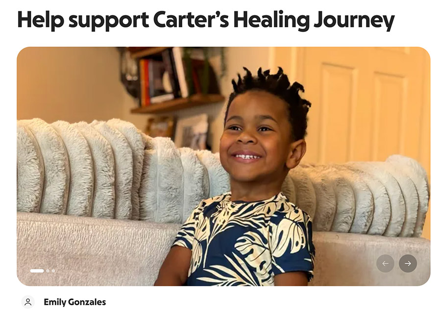 The GoFundMe organized to raise money for Carter's medical expenses. | GoFundMe