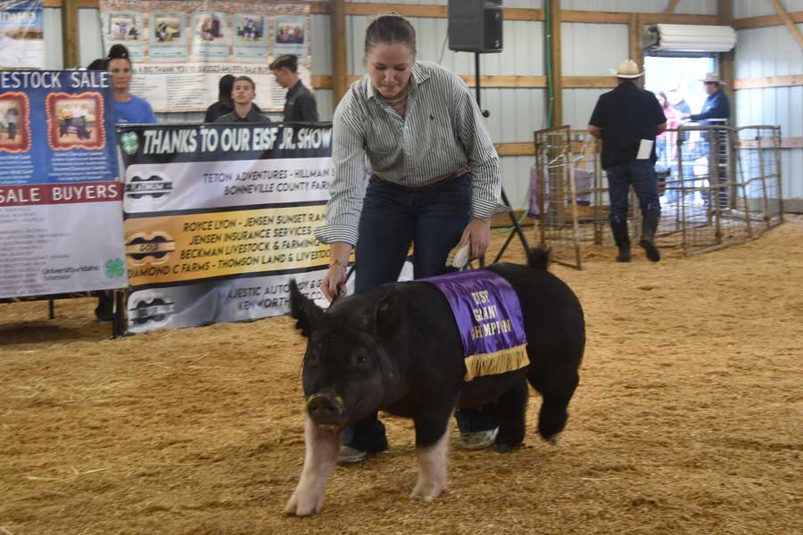 Eastern Idaho State Fair
