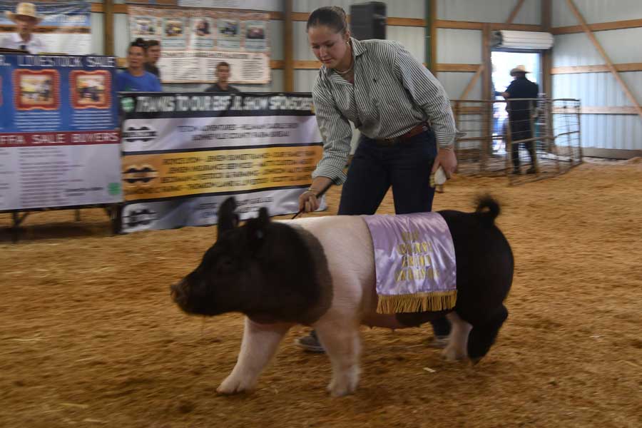 Eastern Idaho State Fair