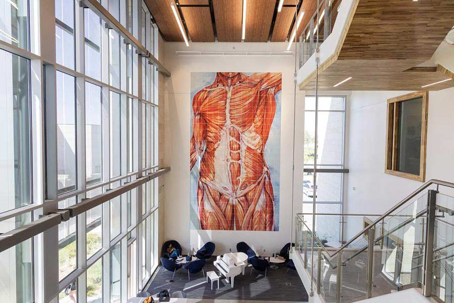 Art hangs in the lobby of the Idaho College of Osteopathic Medicine. | Sarah A. Miller smiller@idahostatesman.com