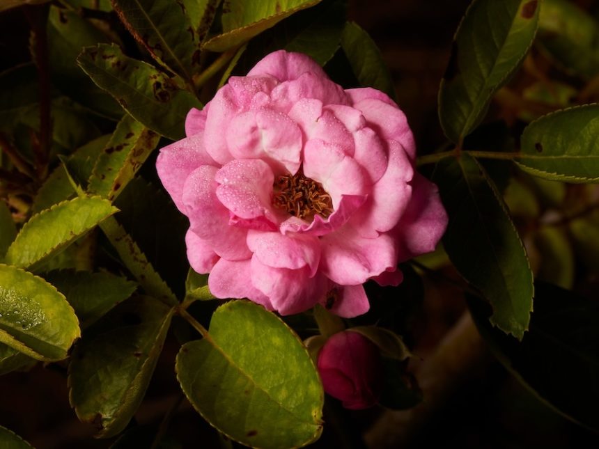 cnn L19jb21wb25lbnRzL2ltYWdlL2luc3RhbmNlcy9jbWV0MGNhN2YwMDNhMjdxZWRrbzdlcmh2 L19jb21wb25lbnRzL2FydGljbGUvaW5zdGFuY2VzL2NtZXQwY2E3ZjAwM3AyN3FlM2YxZmY1aWs