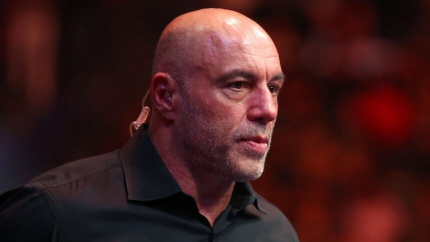 cnn L19jb21wb25lbnRzL2ltYWdlL2luc3RhbmNlcy9jbWZ4dWh3ejgwMDAxM2I2bmpxbXNoMDIw L19jb21wb25lbnRzL2FydGljbGUvaW5zdGFuY2VzL2NtZnh0YWc3djAwNmwyN3A1NWw3ZmR3Y3M