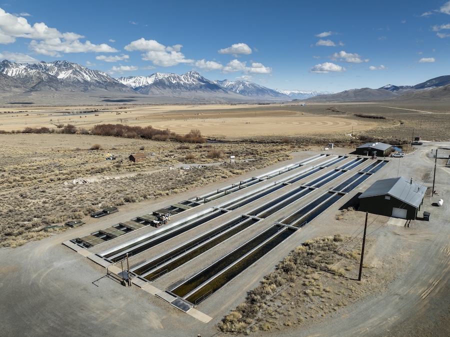 mackay hatchery aerial