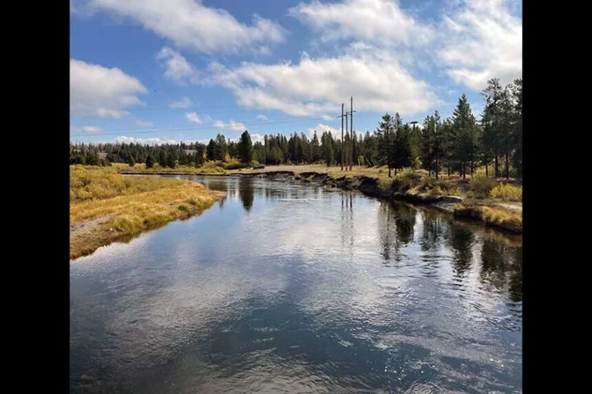 The upstream view from the sampling location on the Madison River near West Yellowstone, MT, June 2020. | National Park Service