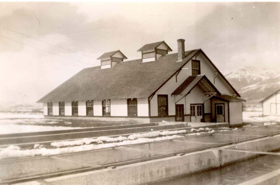 Mackay State Fish Hatchery celebrates 100 years of stocking Idaho waters