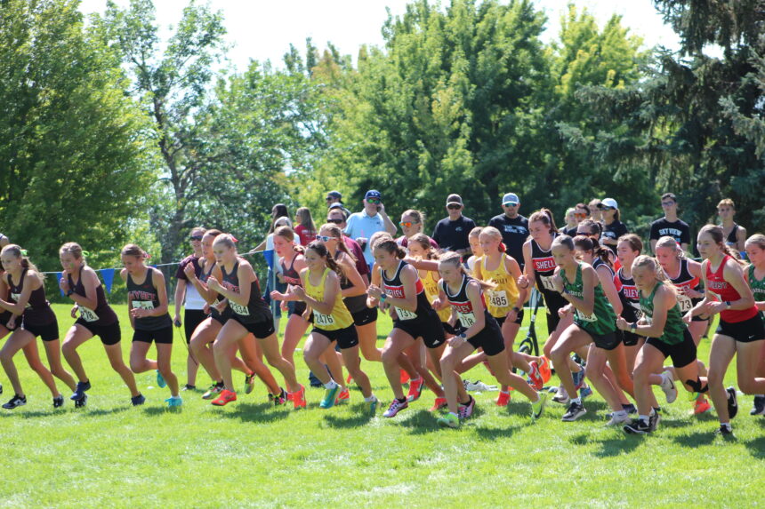 Runners take off in the girls 6A/5A race at Friday's Tiger-Grizz Cross Country Invitational. | Allan Steele, EastIdahoSports.com.
