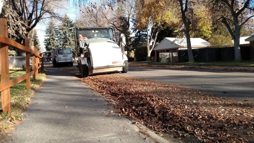 leaf collection schedule