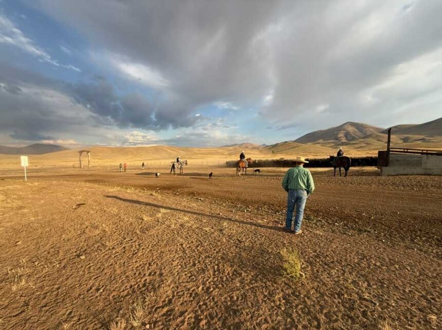 Ranchers and wildlife