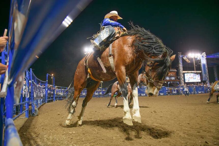 Gem State Classic Pro Rodeo
