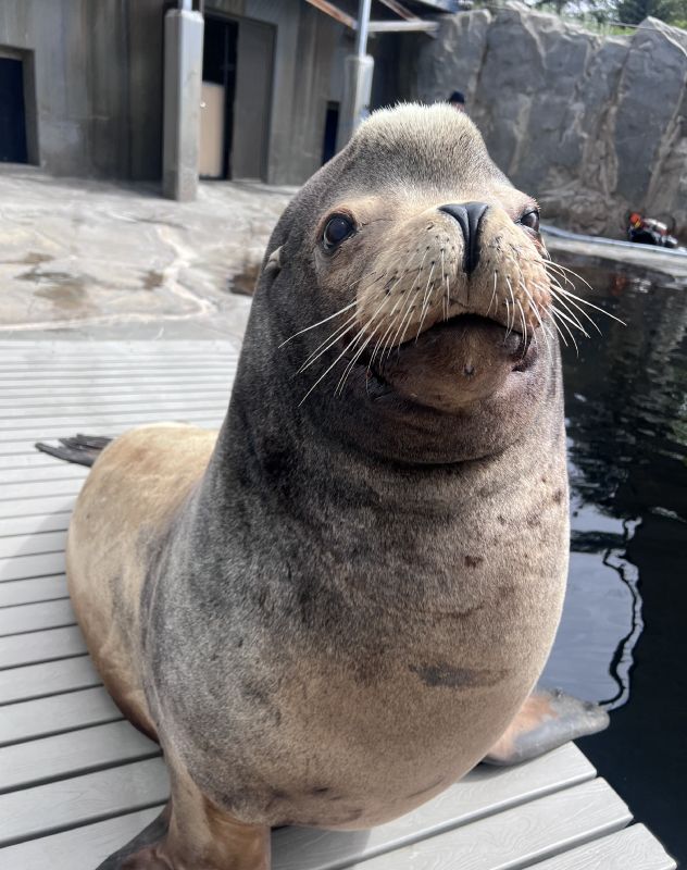 EIN102525DiegoDies02