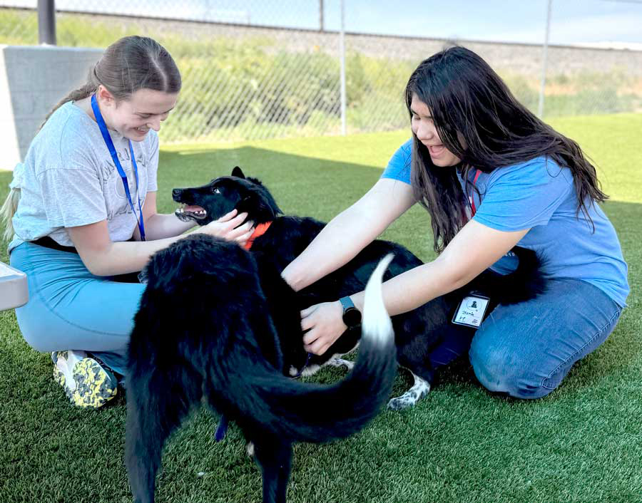 EIN102525ShelterAnnabelle Lang and Jazmin Harvey Playing with PuppiesRTP