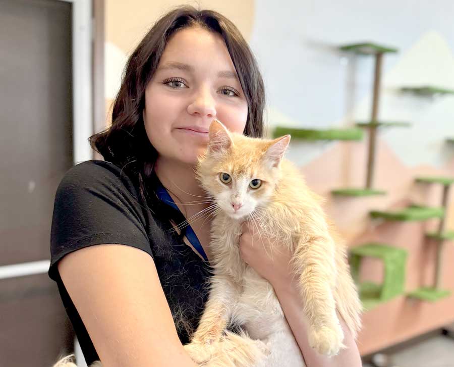 Snake River Animal Shelter