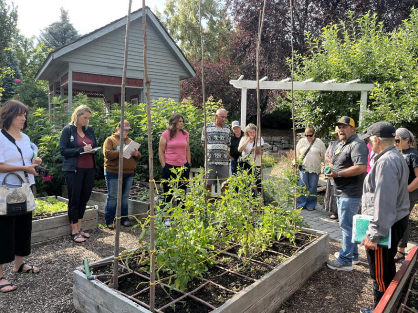 University of Idaho Extension Educator Tom Jacobsen demonstrates how to use the Florida Weave technique to support tomato plants during a class on tomato production. | Tom Jacobsen, University of Idaho Extension