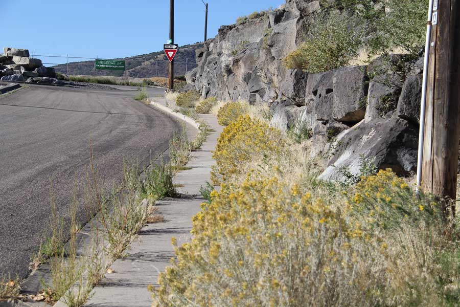 Vegetation covering up part of a sidewalk on Cliffs Avenue, just off South 5th Avenue.