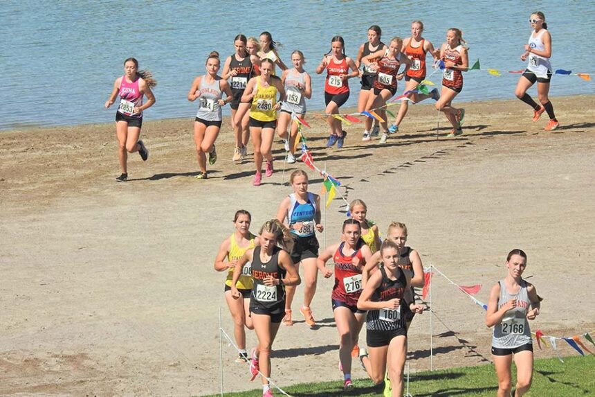 Cross-country Bob Conley