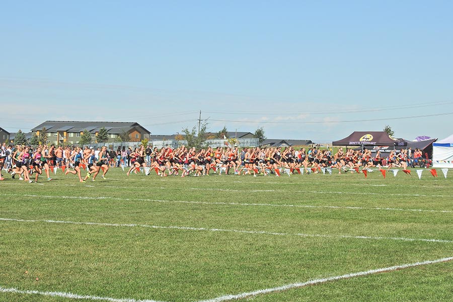 Cross-country Bob Conley