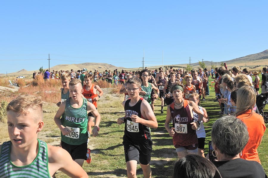 Cross-country Bob Conley