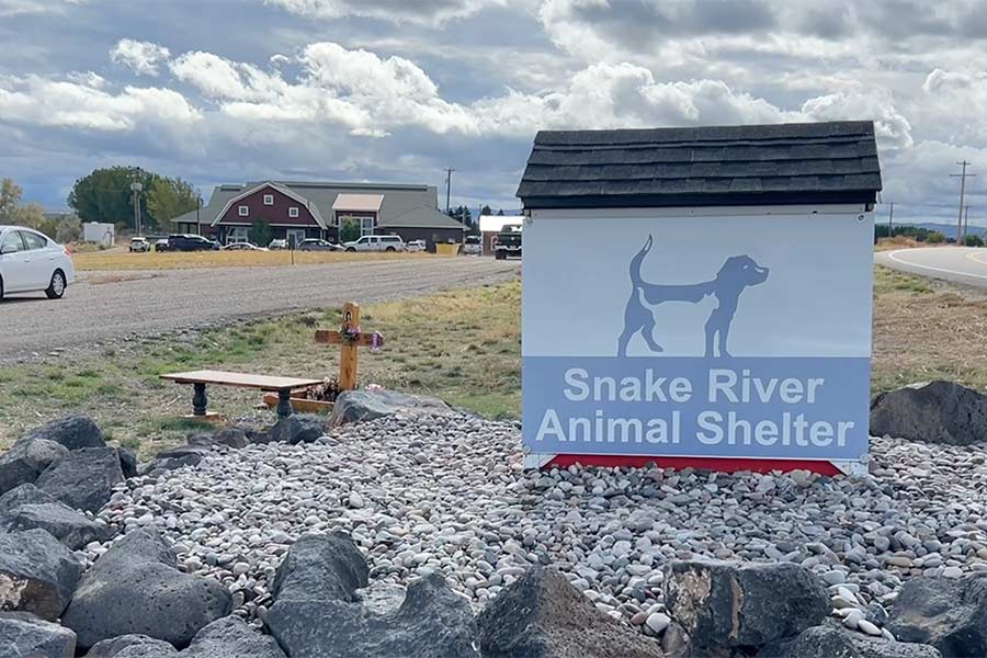 Snake River Animal Shelter at 3000 Lindsay Boulevard in Idaho Falls is celebrating a decade of operation. Take a look inside in the video above. | Rett Nelson, EastIdahoNews.com