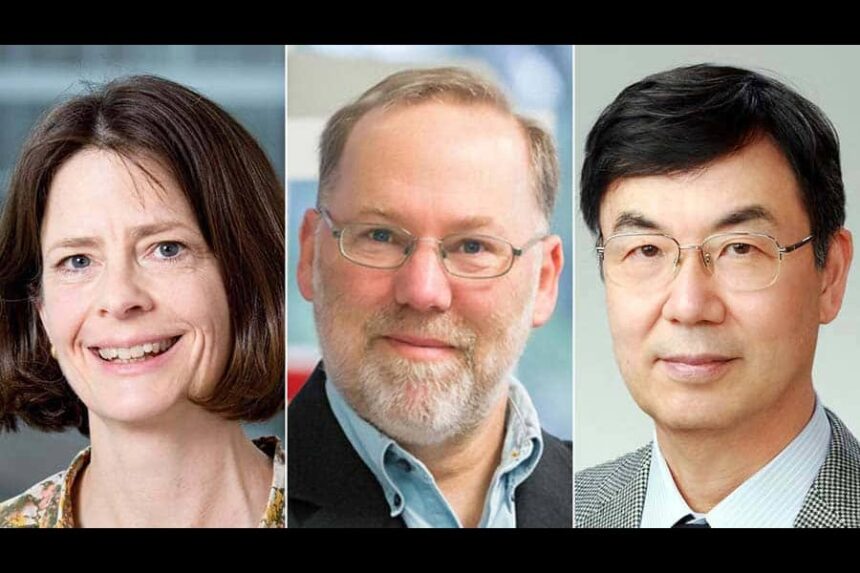 brunkow ramsdell sakaguchi