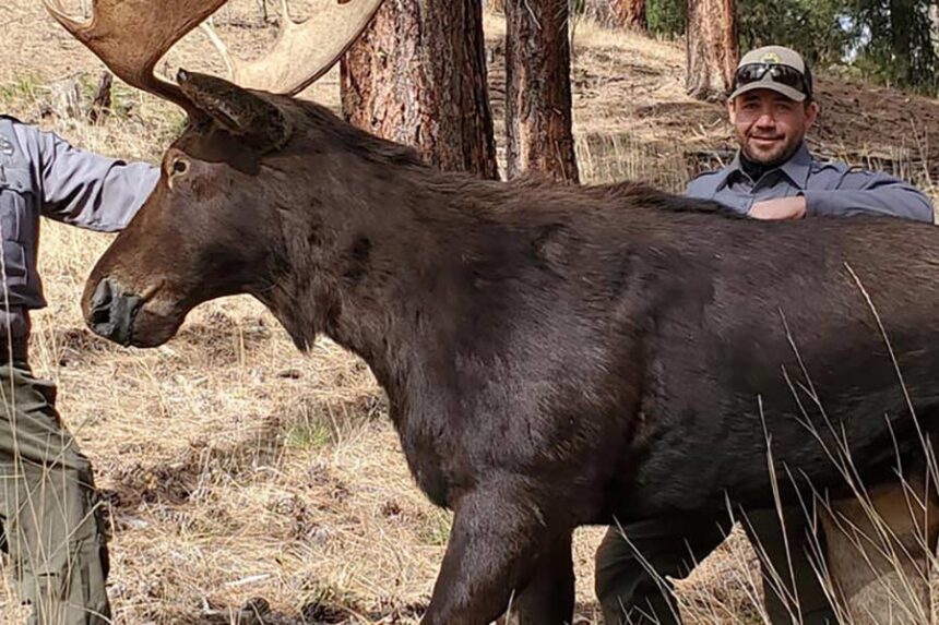 Courtesy Idaho Fish and Game