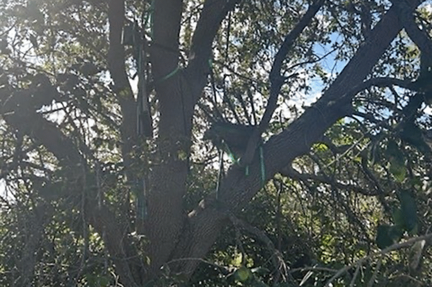 cnn L19jb21wb25lbnRzL2ltYWdlL2luc3RhbmNlcy9jbWd6MGlra3AwMDExM2I2bnFtbG1lMXhr L19jb21wb25lbnRzL2FydGljbGUvaW5zdGFuY2VzL2NtZ3l5ankyczAwN2cyNm5tNzRiNmVubHE