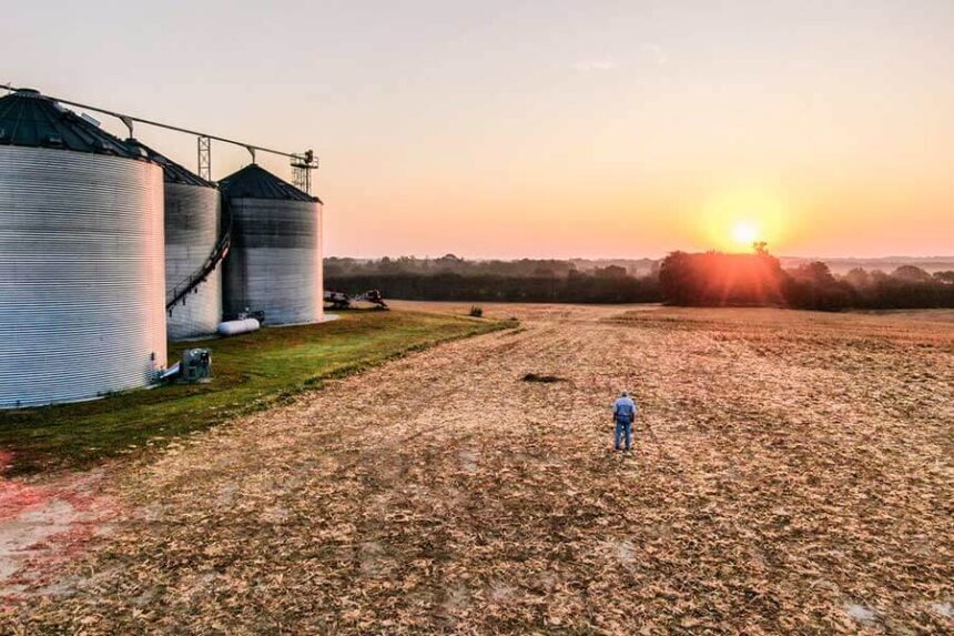 farmer outstanding in field