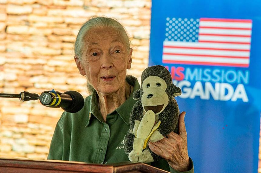 Jane Goodall
