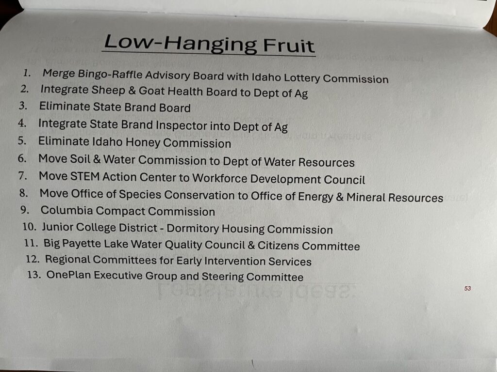 The Idaho DOGE Task Force presented the Joint Finance-Appropriations Committee with lists of government programs and agencies to consider cutting on Nov. 6, 2025. (List provided courtesy of Idaho DOGE Task Force/Idaho Legislative Services Office)
