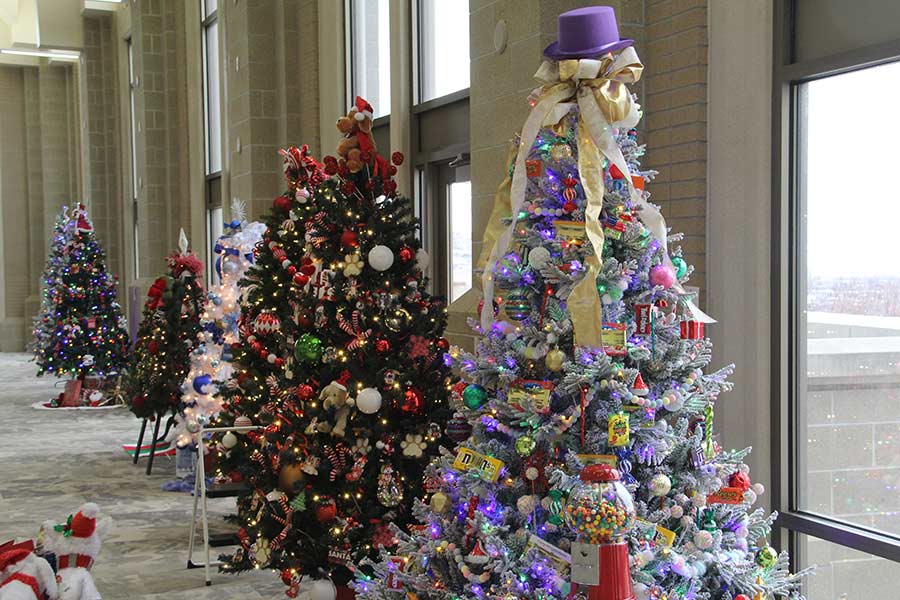 Festival of trees 2025 line up of trees