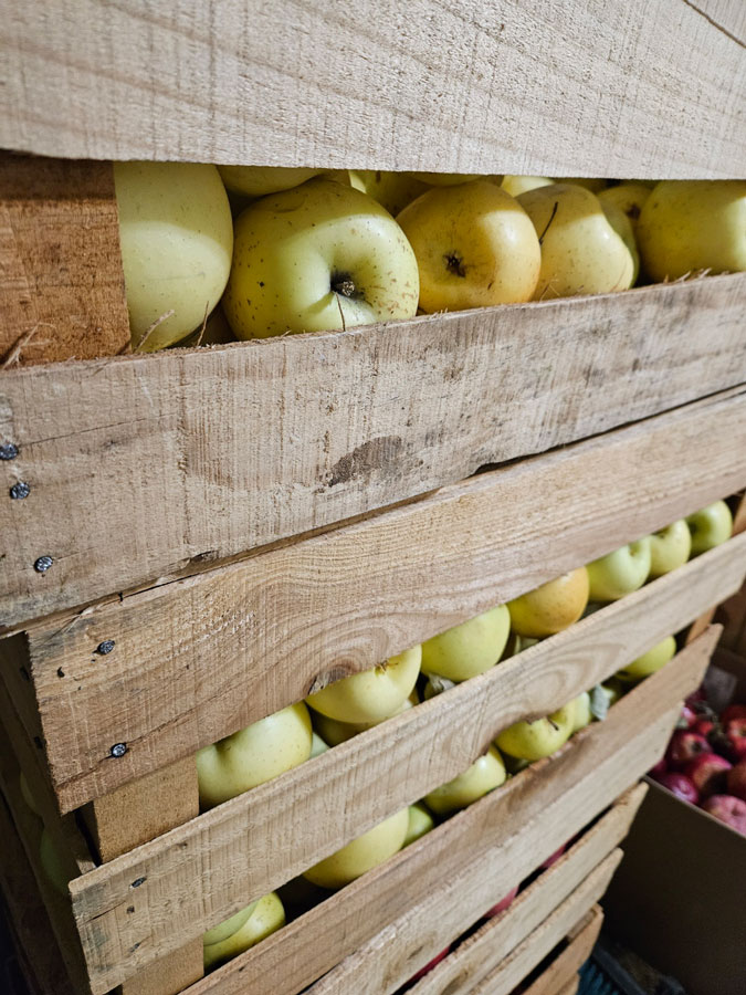 For long-term storage, separate layers of apples with kraft paper, newspaper or other method. Jared Gibbons, University of Idaho Extension