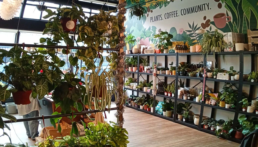 Coffee and houseplants, a match made in heaven at Zz Coffee and The Plant Box